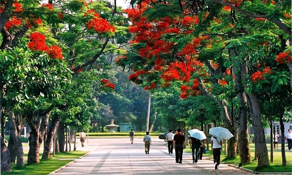 风景